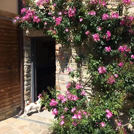 Nido D'amore Nei Colori