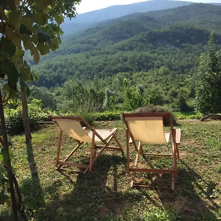 Nido D'amore Nei Colori Dernice