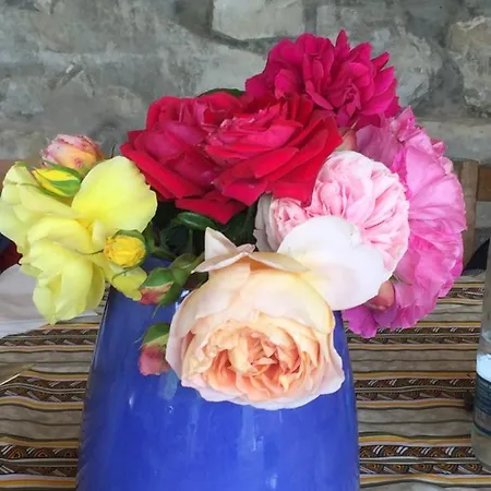 Nido D'amore Nei Colori Apartmán Dernice