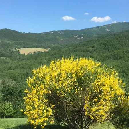 Nido D'amore Nei Colori Lejlighed Dernice