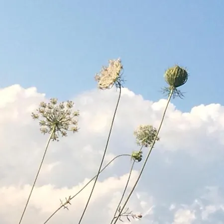 Nido D'amore Nei Colori Lejlighed