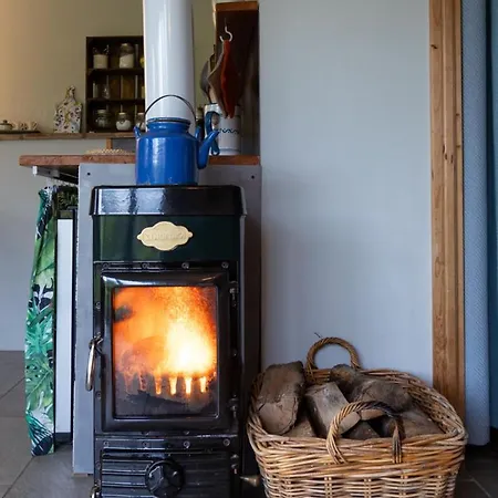 Nido D'amore Nei Colori Dernice