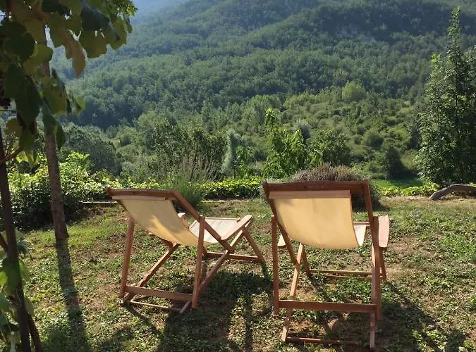 Nido D'amore Nei Colori Dernice