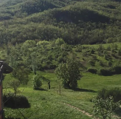 Nido D'amore Nei Colori Appartement