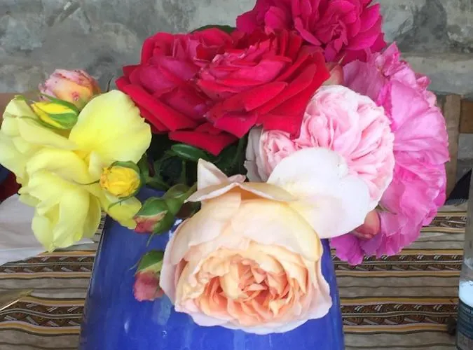 Nido D'amore Nei Colori Appartement Dernice