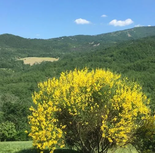 Nido D'amore Nei Colori Appartement Dernice